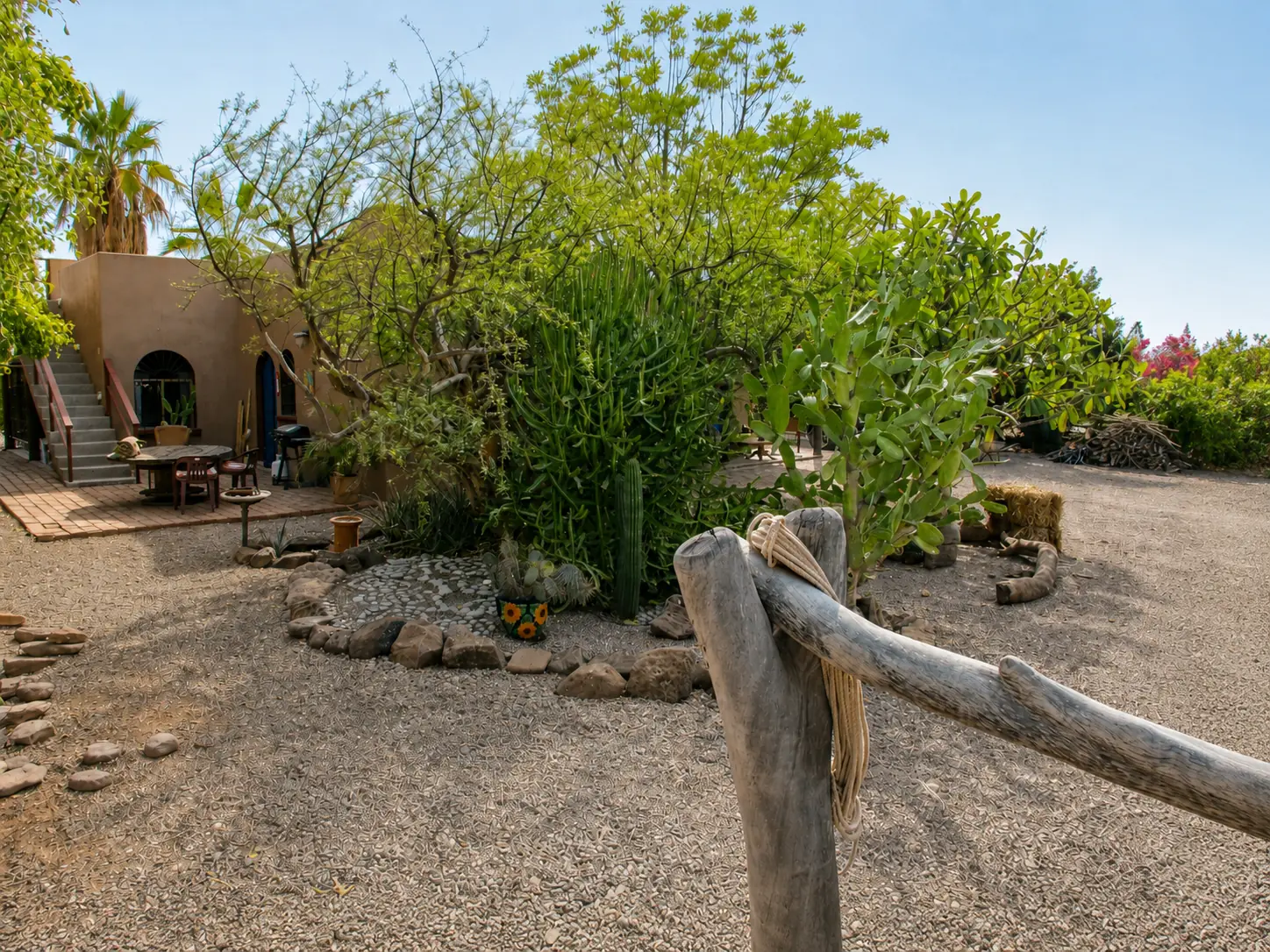 Desert garden on the property