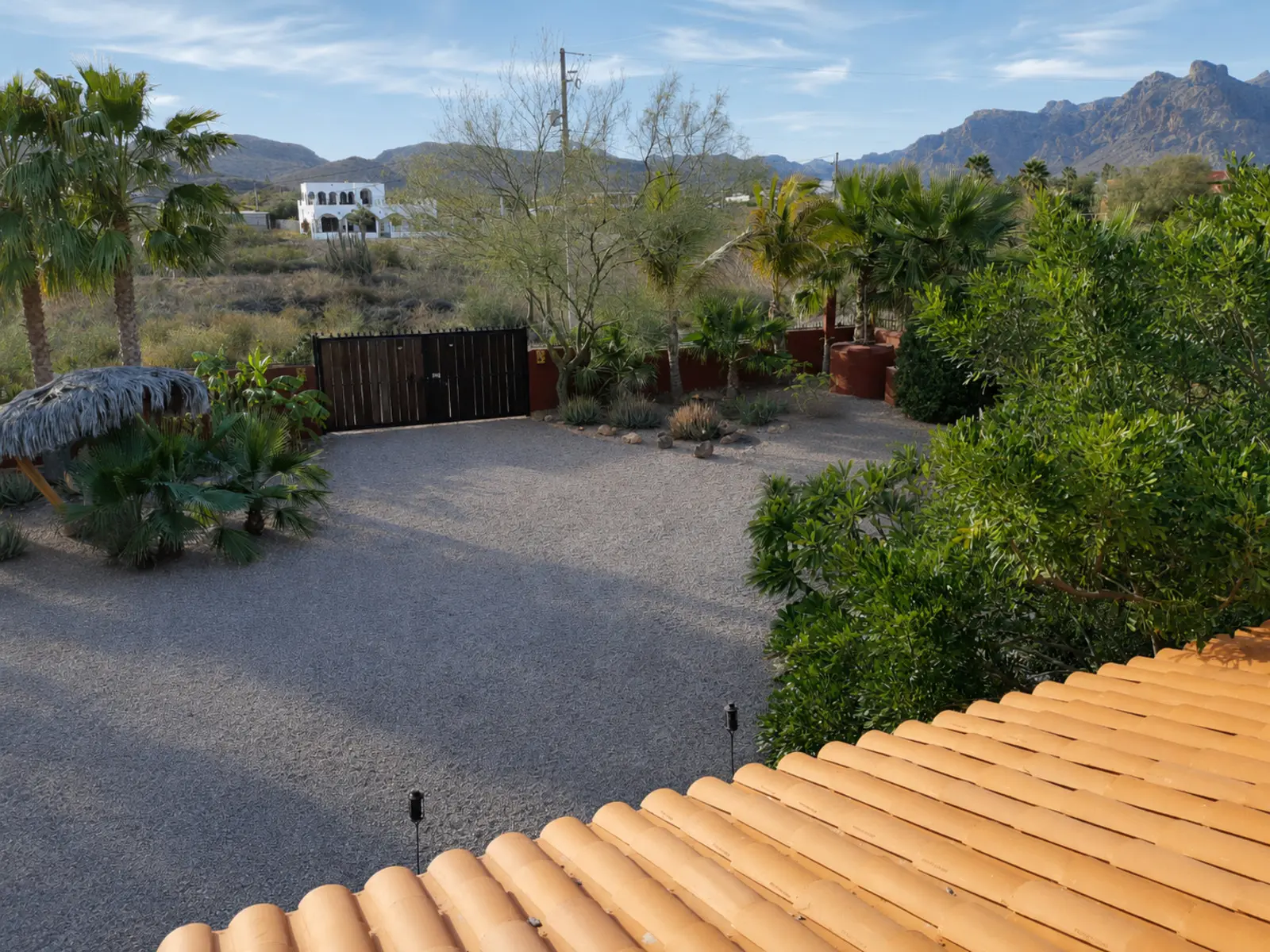 Private gravel drive framed by palms and mountain views