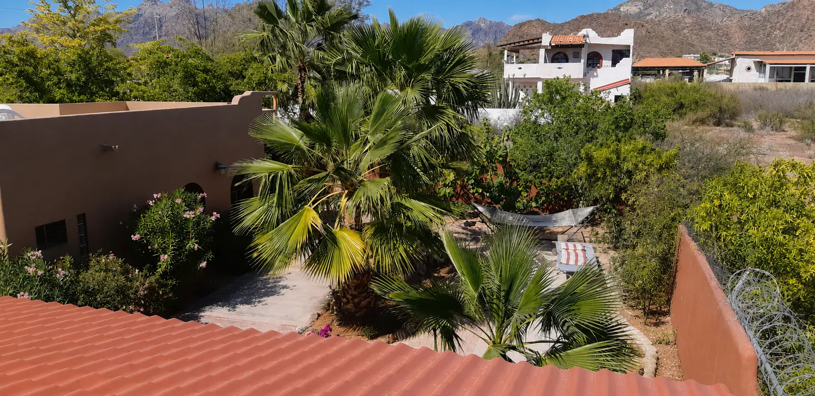 Elevated view across the mature garden toward the Sierra mountains